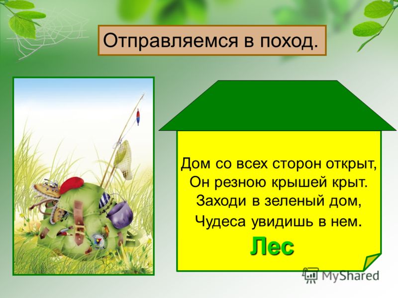 Картинки невидимые нити в осеннем лесу примеры Картинки невидимые нити в осеннем лесу примеры