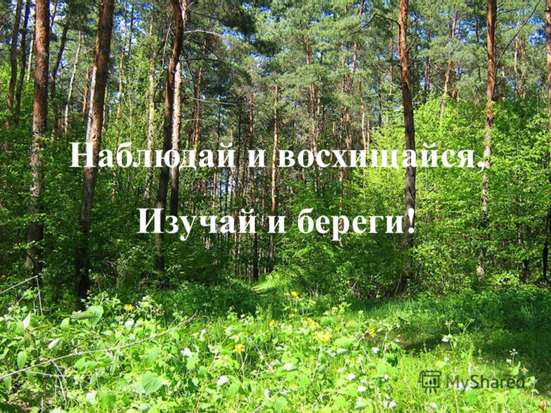 Читать книгу маски иллюзия превращений