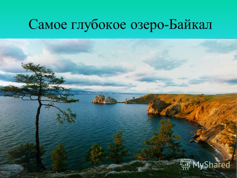 Смотреть фильм Живая сталь онлайн бесплатно в хорошем качестве Живая Арктика (Успенский.М)