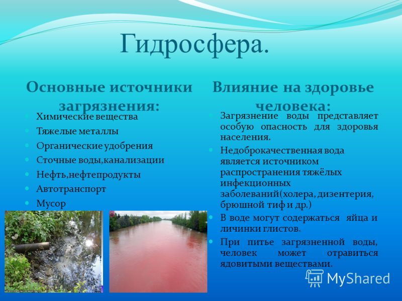 Лекарство от паразитов крыса