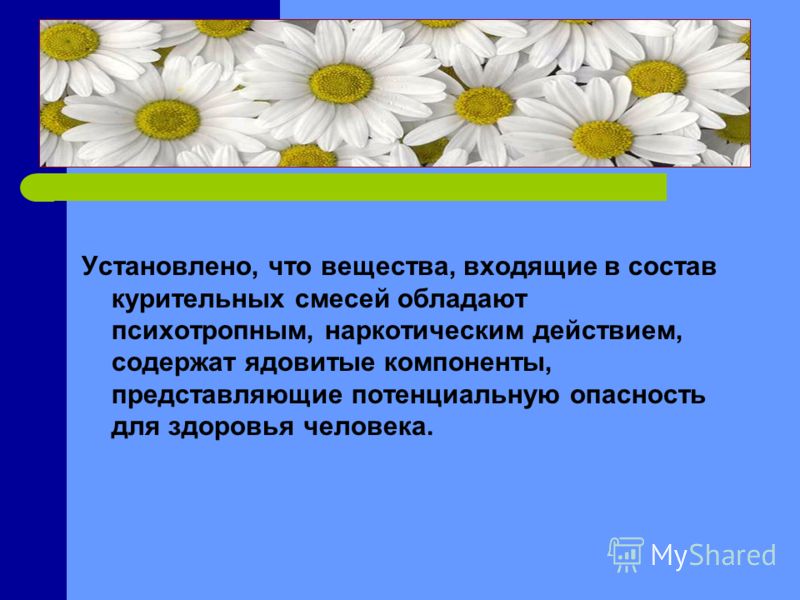 Канд. наук Димитриади Татьяна Александровна отзывы Календарь беременности онлайн по неделям с фото, калькулятор срока