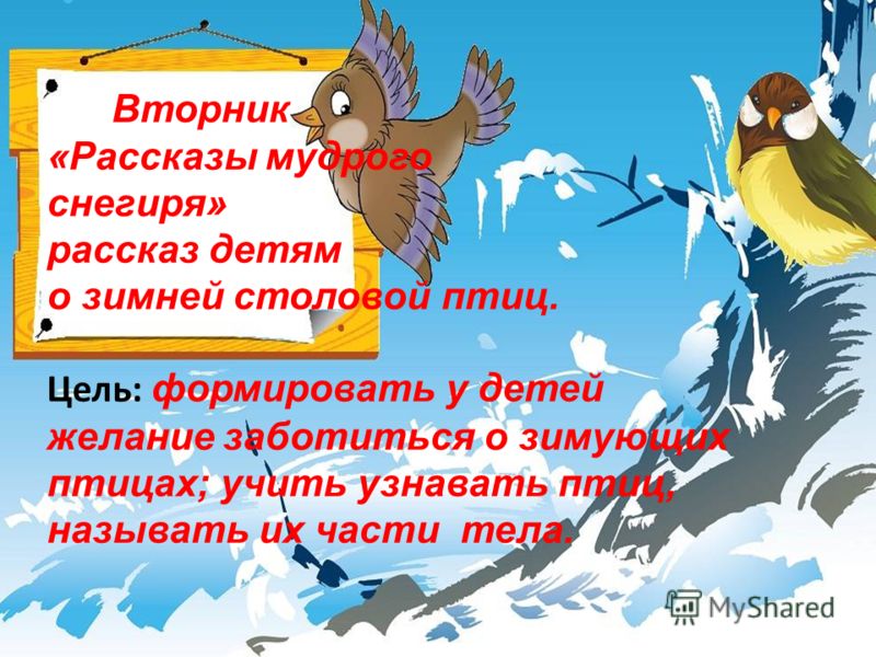 Сценарий детям про птиц Сценарий детям про птиц