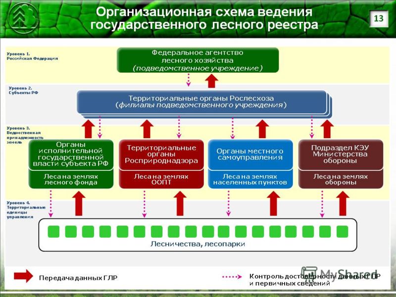 Нормативно правовое регулирование охраны лесов в российской федерации проект
