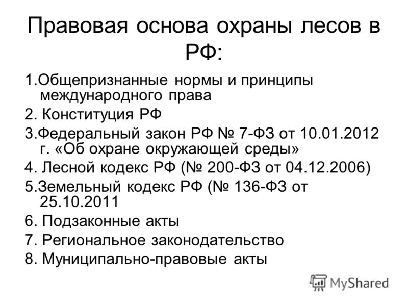 Новости и репортажи