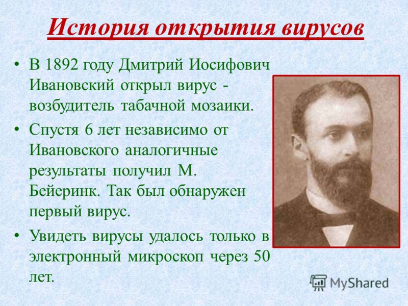 Поздравления с Днем библиотекаря коллегам - t Подарок на День учителя от класса - бюджетные, необычные и