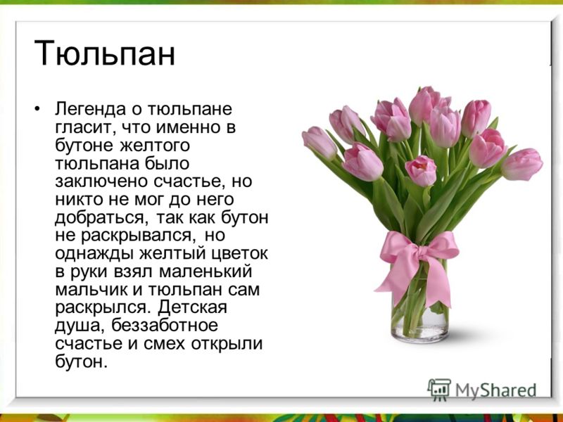 Стих я тюльпаном быть Стих я тюльпаном быть