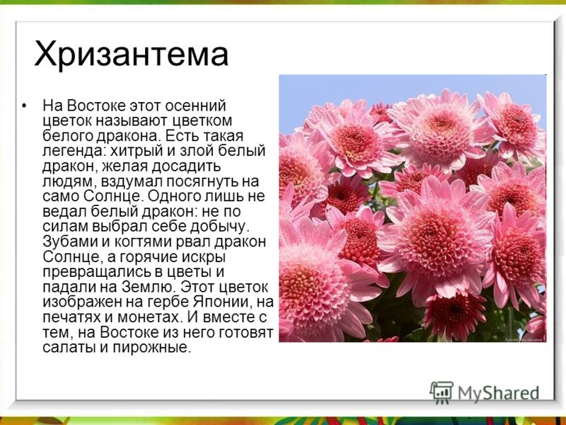 Модные платья осень-зима Как сшить школьную форму для девочки по выкройкам Burda