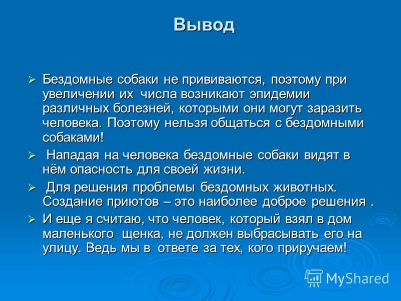 Бездомные животные проект 10 класс