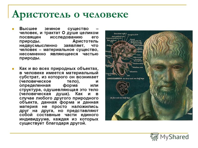 аристотель трактат о душе скачать