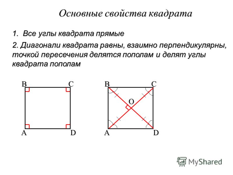 Понятие квадрат и ромб находятся в отношении 80