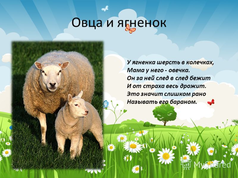 Короткий сценарий ко дню рождения Короткий сценарий ко дню рождения