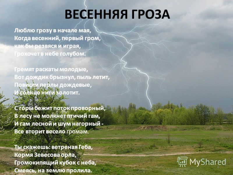 Стих тютчева люблю грозу Стих тютчева люблю грозу