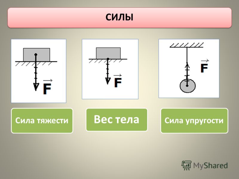 Секс Упругая Тело Мамы Биофа Видео