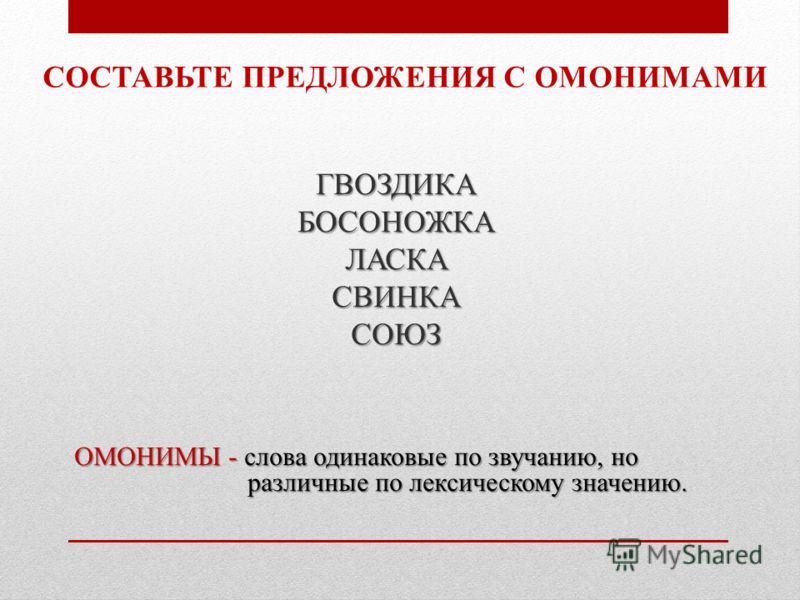 Запишите примеры омонимов составьте с ними предложения