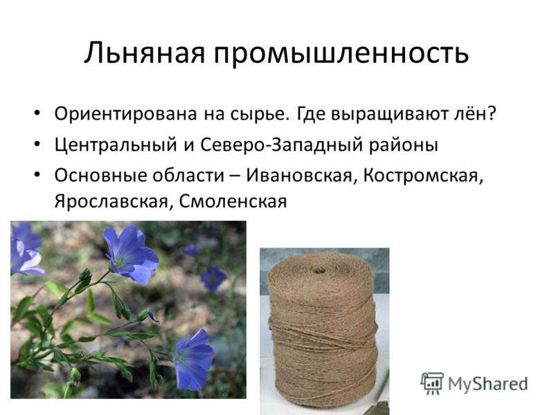 Специалист по выращиванию льна
