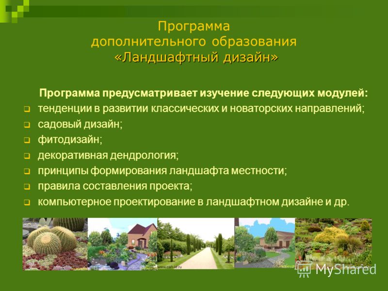 Все телепрограммы по ландшафтному дизайну Все телепрограммы по ландшафтному дизайну