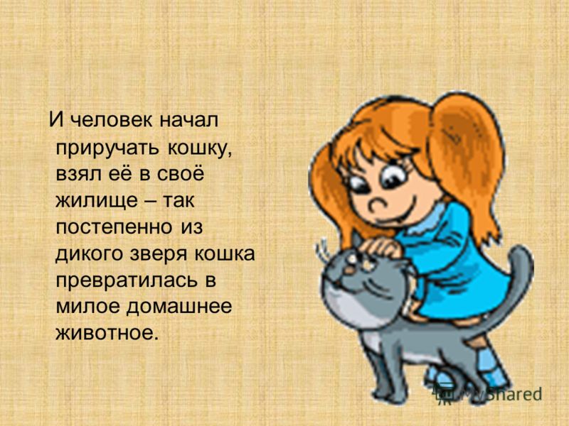 Люди с широкими зубами Люди с широкими зубами
