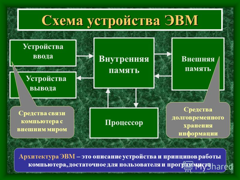 Папилломы, удаляем самостоятельно. Виды, причины ОБЩИЕ ПРАВИЛА УXОДА ЗА СТАРОЙ СОБАКОЙ / Уход за старой собакой