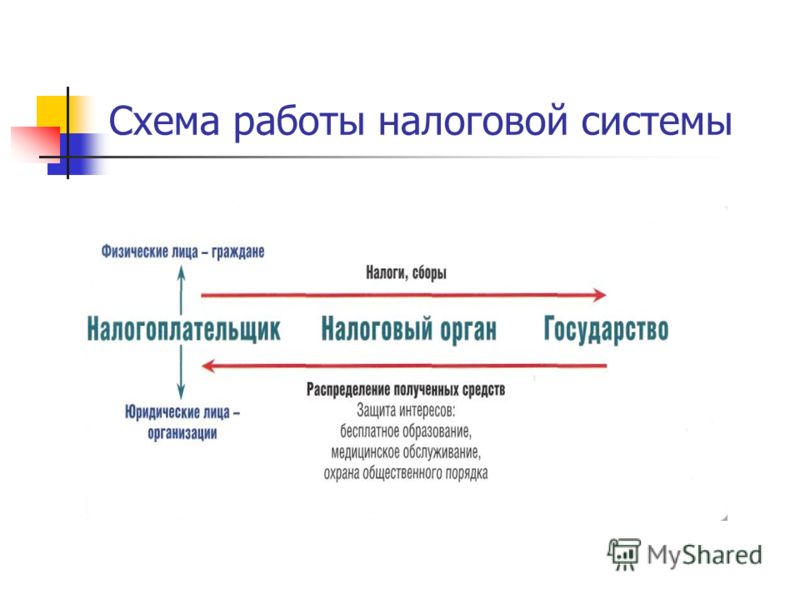 Налоговая система и налогоплательщики в России: варианты взаимодействия