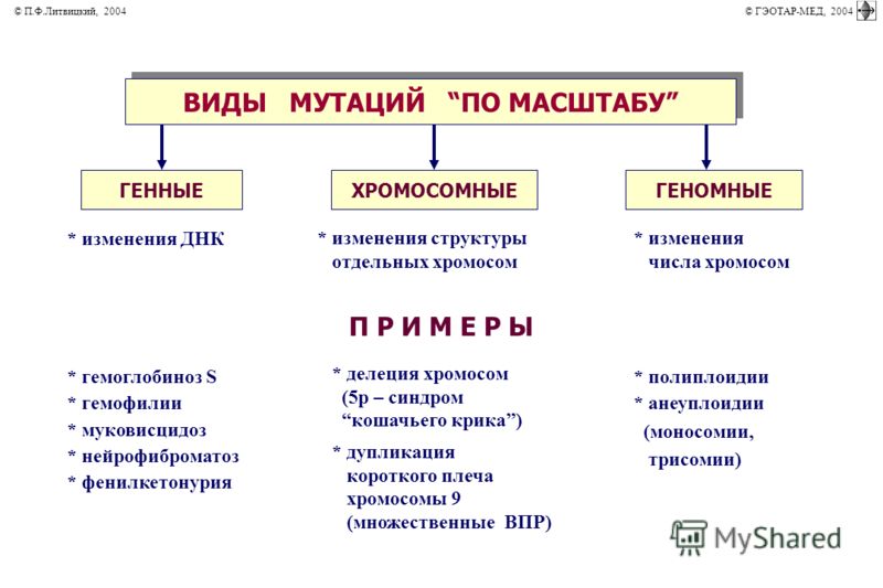 Боль какого органа может отдавать в сердце