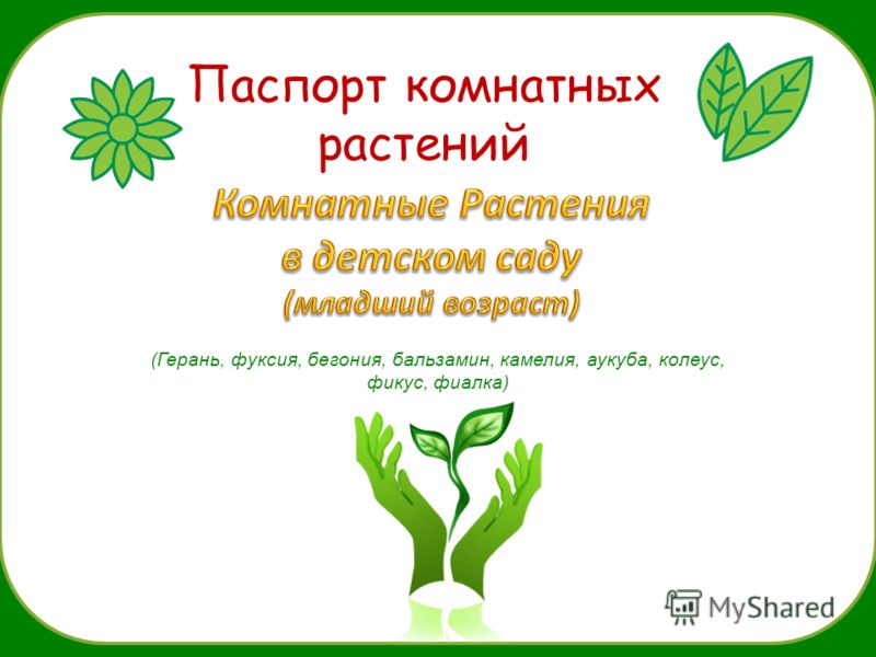 Куклы для пальчикового театра своими руками - схема Куклы для пальчикового театра своими руками - схема