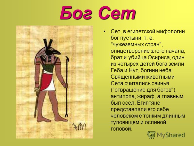 Боги Египта Боги Египта