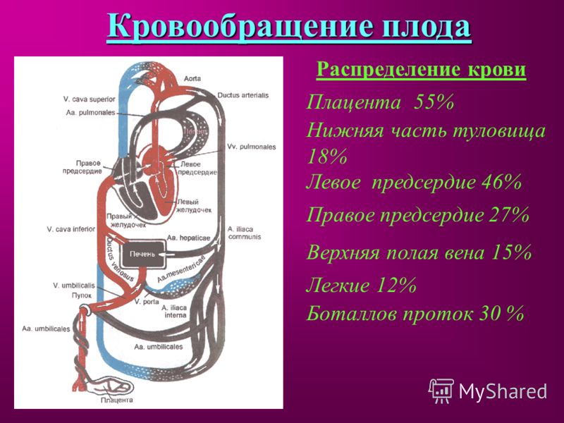 Все частные клиники и центры в Нижнем Новгороде Врач Грачева Лариса Викторовна: отзывы, запись на приём