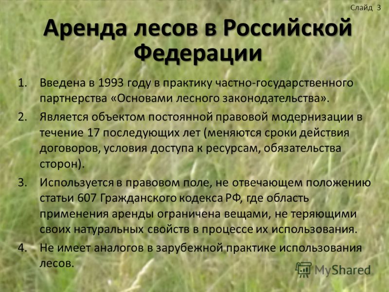 Аренда лесов пример 1