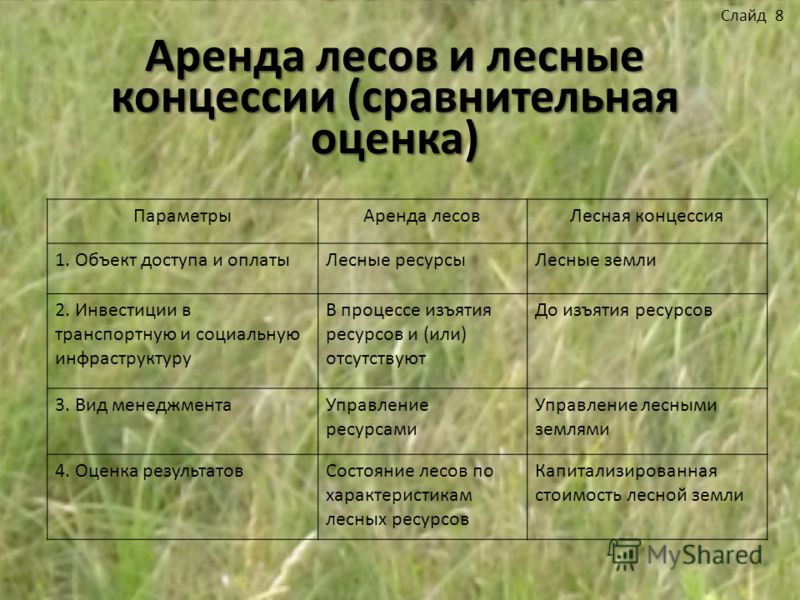 Аренда лесов пример 1