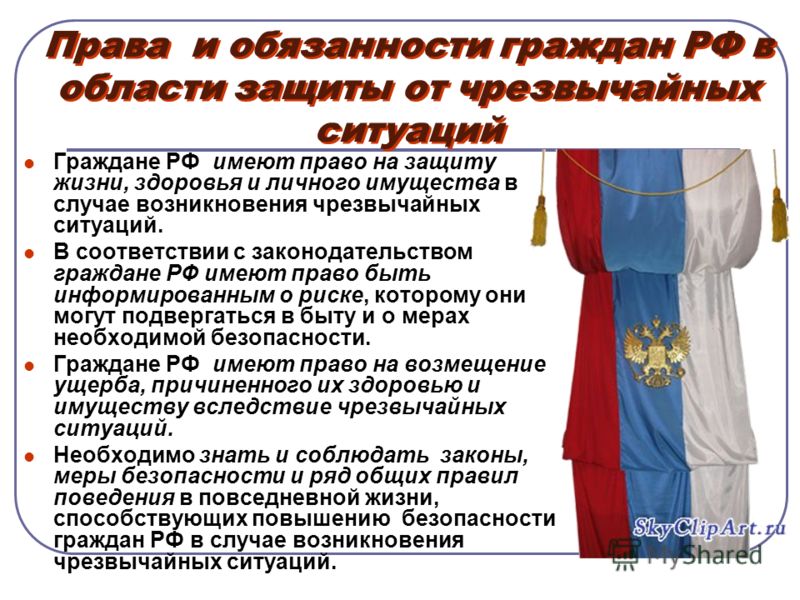 Реферат: Права и обязанности гражданина РФ