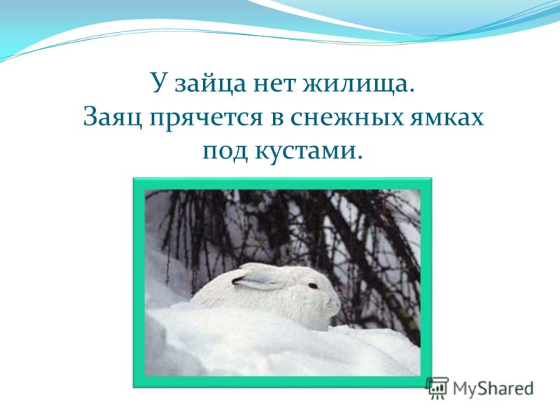 Зимняя резина на шеви нива купить