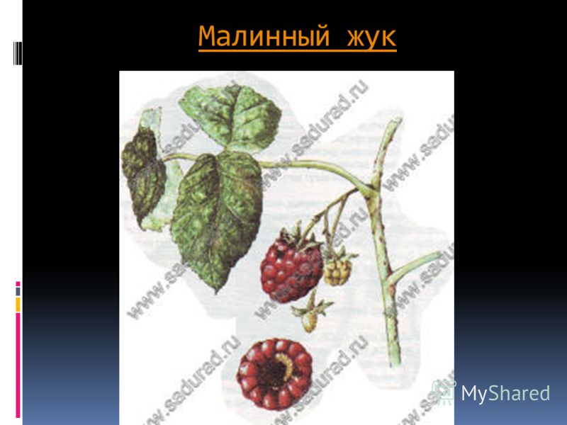 Средства от головной боли при диабете 2