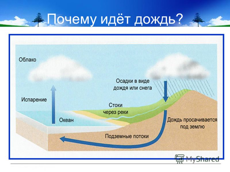 Как объяснить ребенку почему идет дождь Как объяснить ребенку почему идет дождь