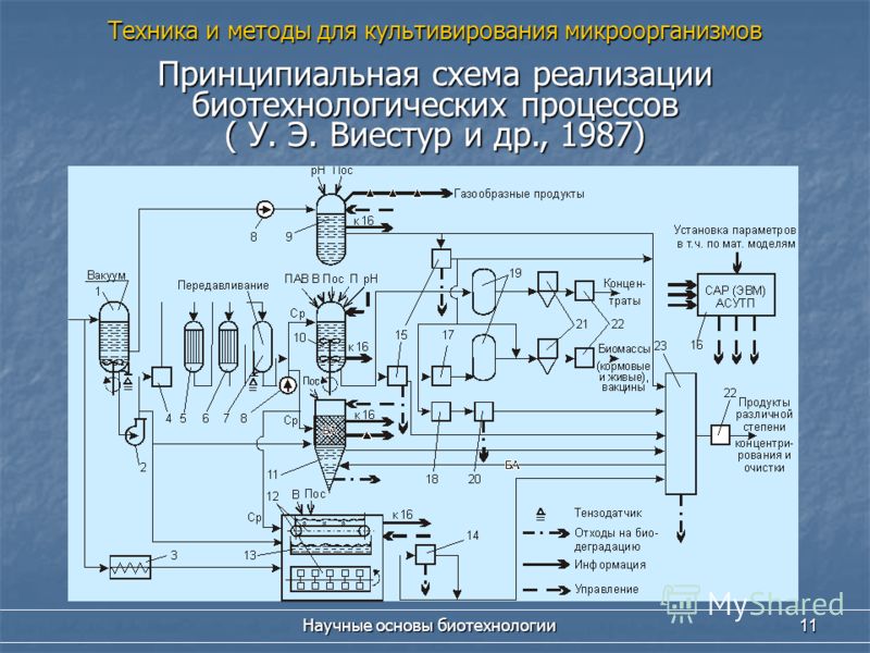 pdf techniques in extracorporeal