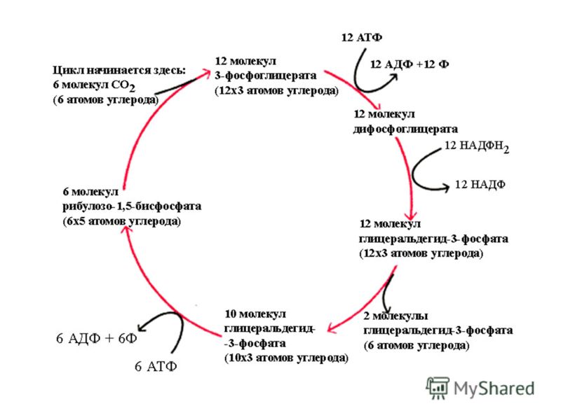 Как сделать подсветка днища своими руками Как сделать подсветка днища своими руками