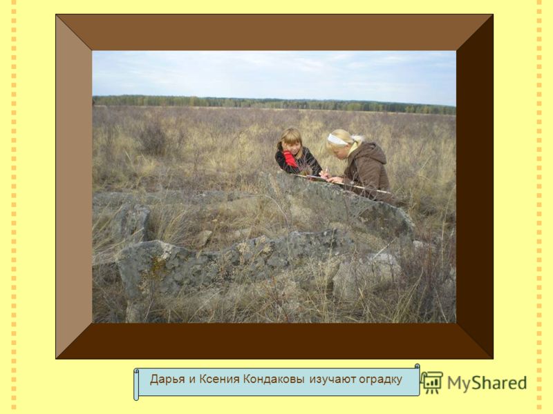Дарья и Ксения Кондаковы изучают оградку