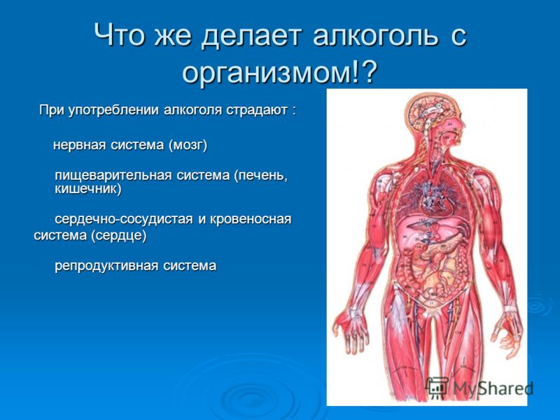 Реферат: Алкоголь и его отрицательное действие на организм