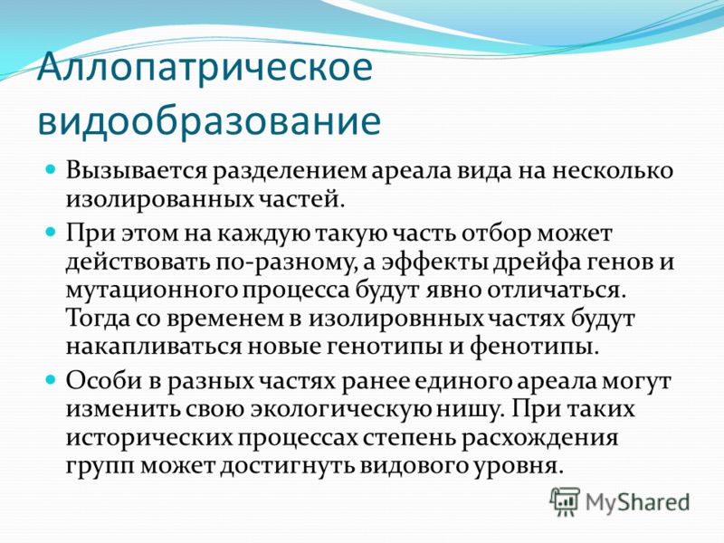 План-конспект урока по биологии на тему видообразование