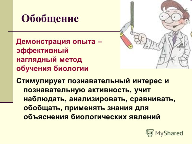 Группа наглядных методов