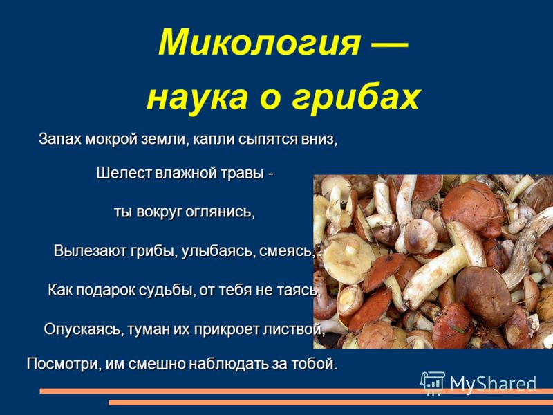 грибы паразиты в жизни человека грибы паразиты в жизни человека