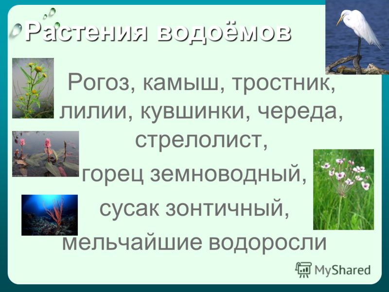 адреса магазинов верхней женской одежды донецк