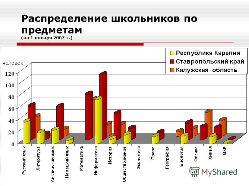 Таблица распределения учеников по животным фото - PwCalc.ru