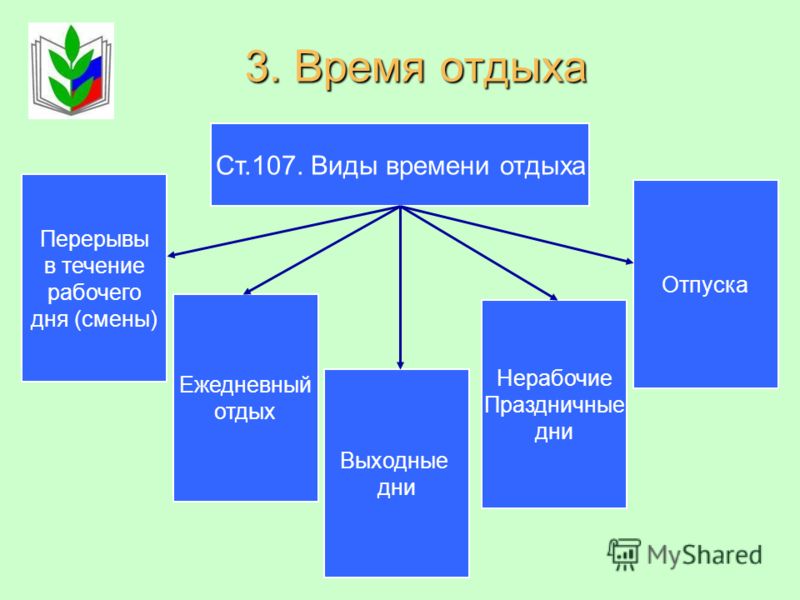 приказ об установлении педагогической нагрузки