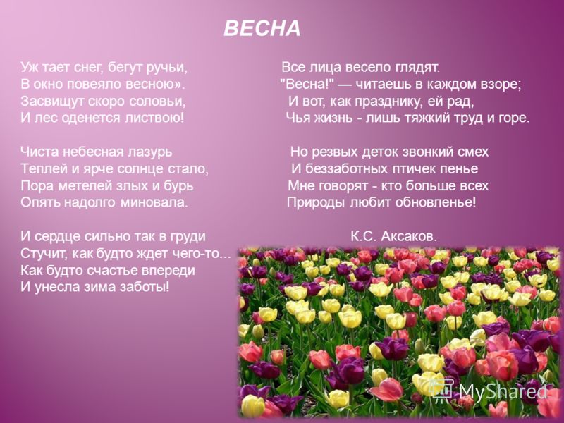 Картинки по теме в окно повеяло весною Картинки по теме в окно повеяло весною