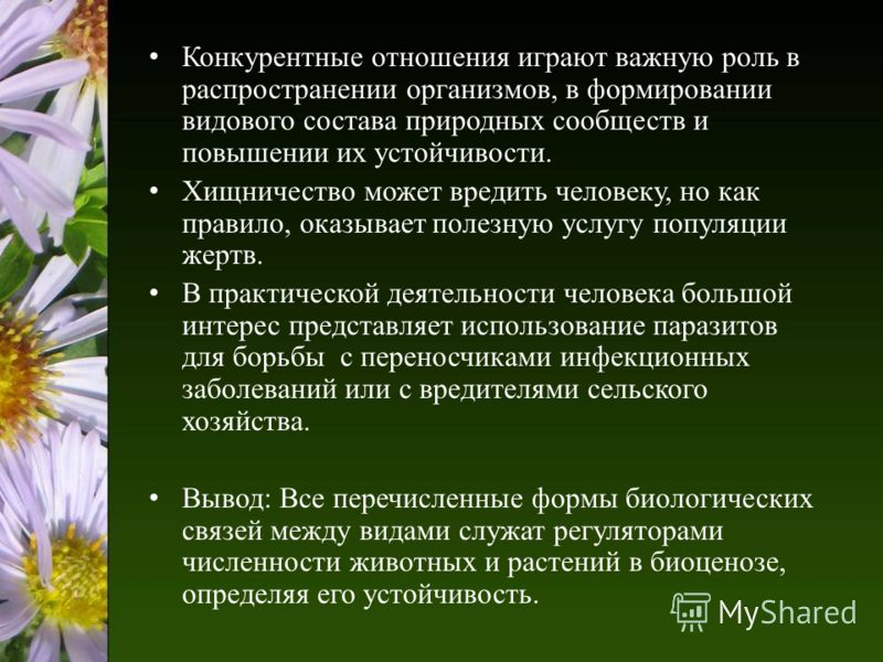 очистка от паразитов глистов очистка от паразитов глистов
