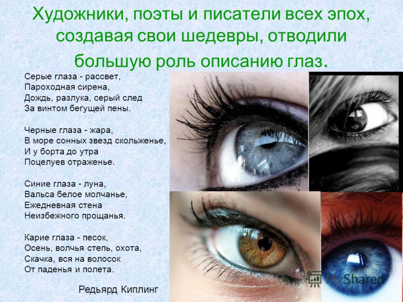 Серые глаза у ребенка 6 Серые глаза у ребенка 37