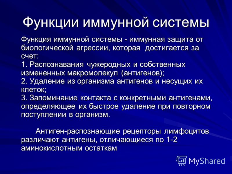удаление паразитов из организма человека удаление паразитов из организма человека