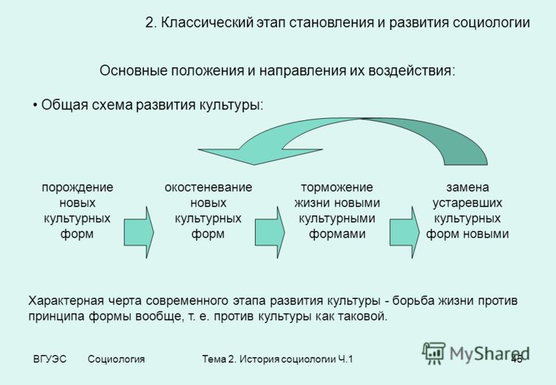 Презентация на тему "Основы прикладной социологии. Логика разработки прикладного