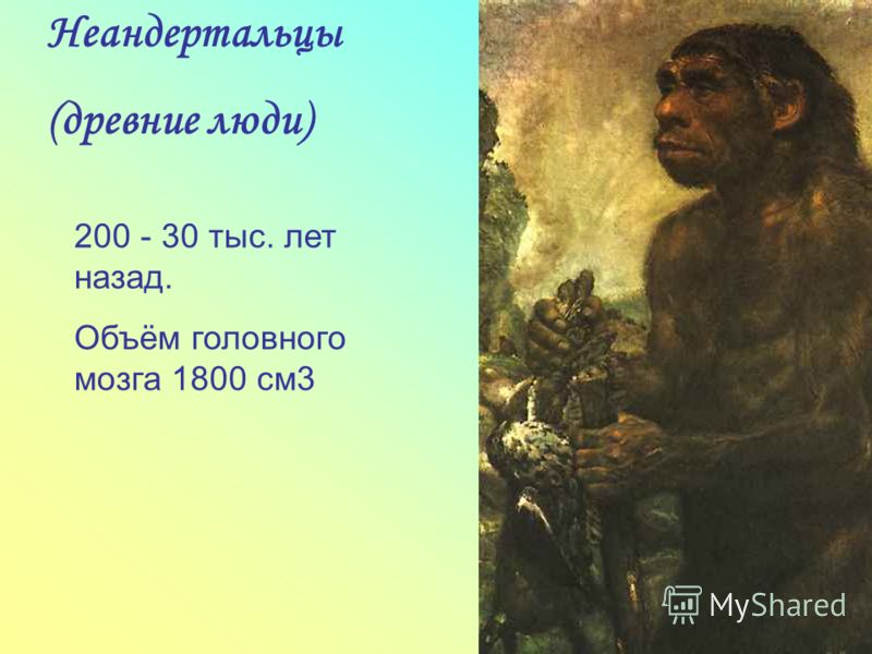Реферат на тему древний человек 2787