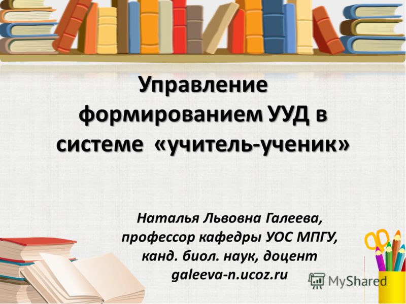 Risk Assessment: Theory, Methods,